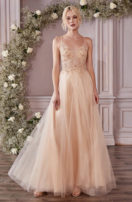 Champagne Beaded Prom Dress