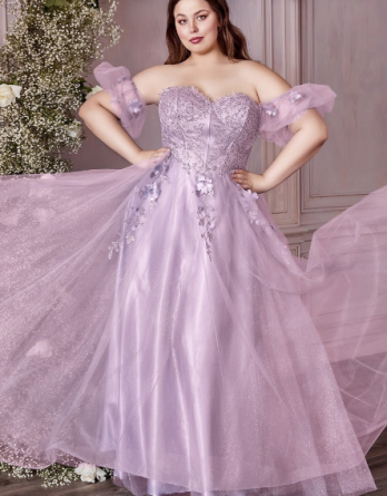 Lilac Renaissance plus size corset bodice dress.