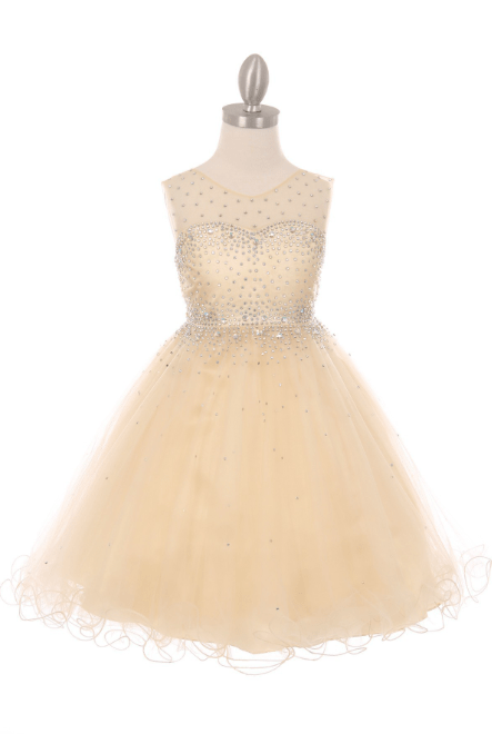 short champagne tulle holiday dress