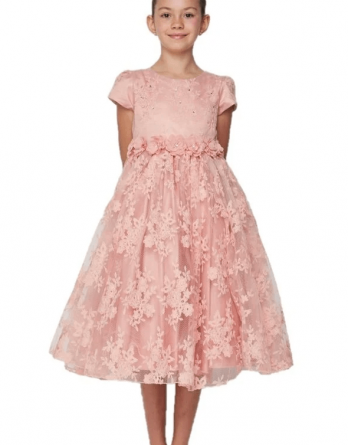 Girls chantilly lace tulle dress with short sleeves