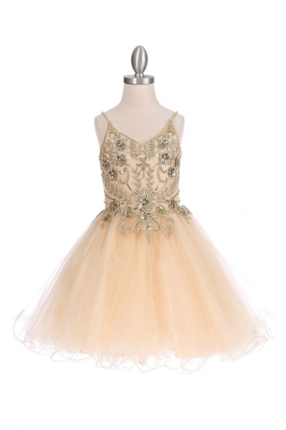Champagne tulle A-line short party dress with a wired bottom skirt. Accented with beads, flowers, and rhinestones.