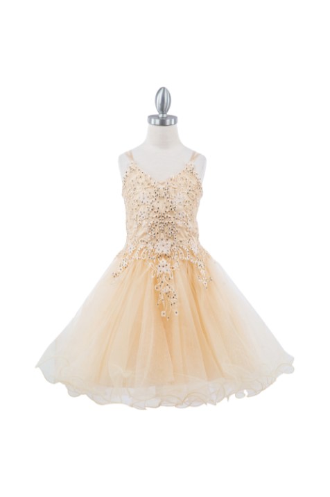 Short champagne tulle dress with embroidered V-neck and an open lace-up back, with an A-line ruffled skirt.