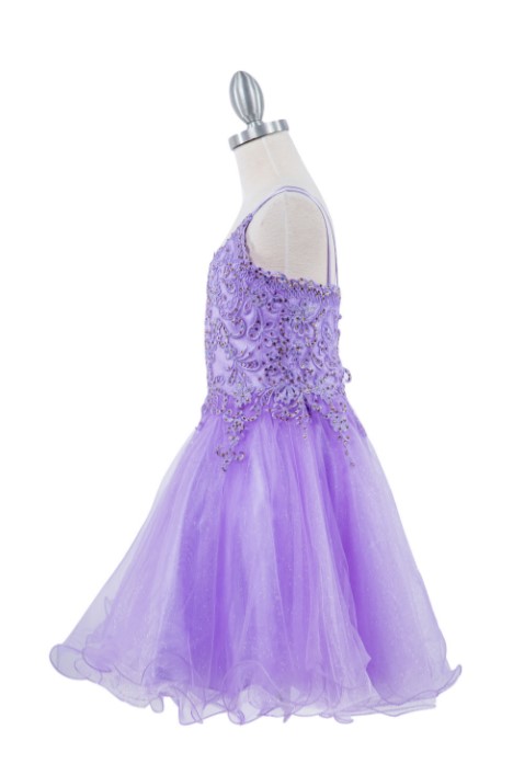 Short lavender tulle dress with embroidered V-neck and an open lace-up back, with an A-line ruffled skirt.